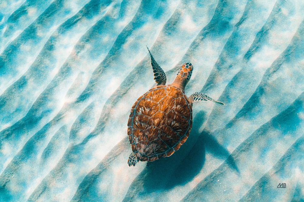 Ocean Photography Art Print